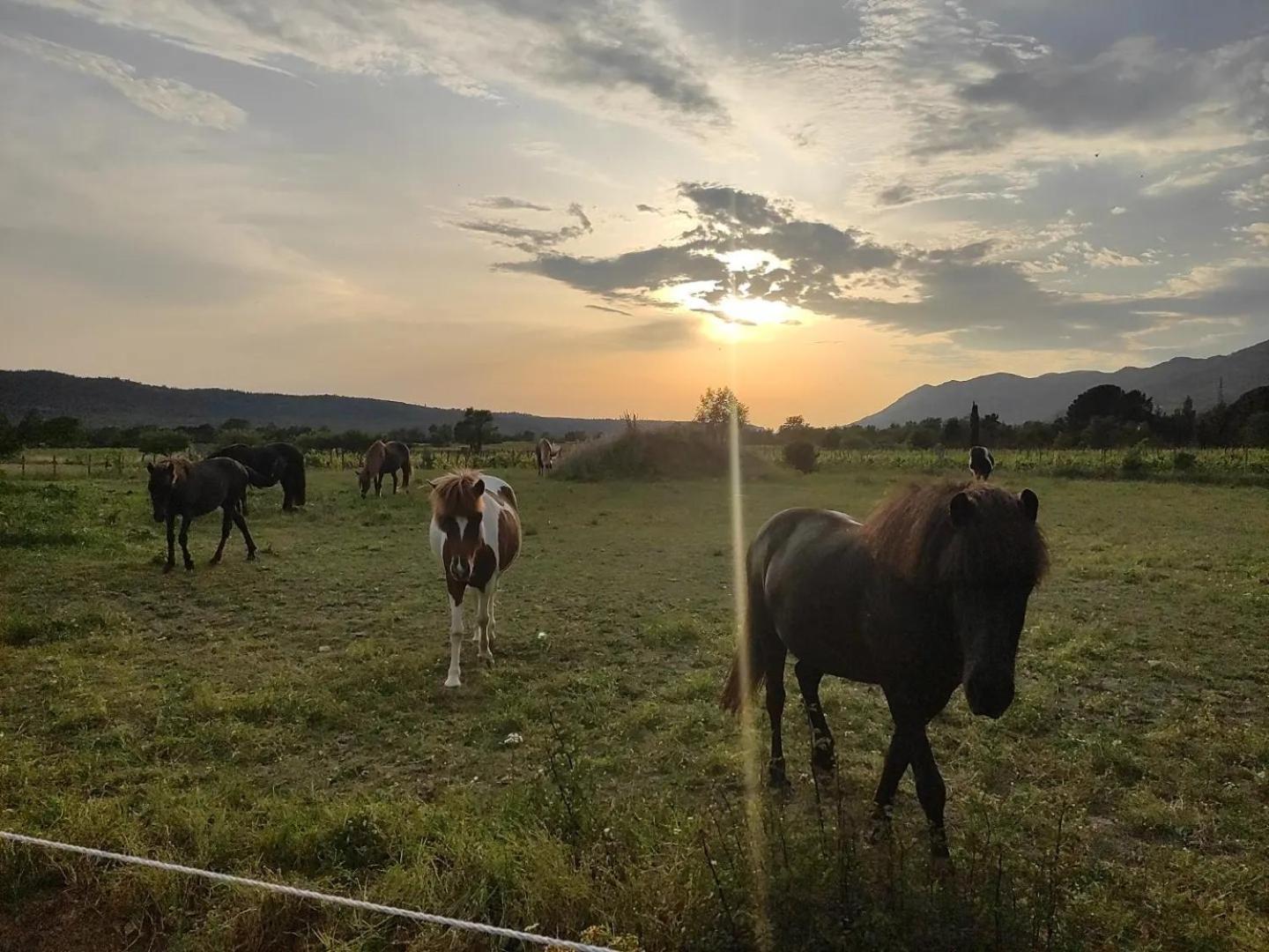 Country House Uros In Nature With Pool Lovorno Εξωτερικό φωτογραφία