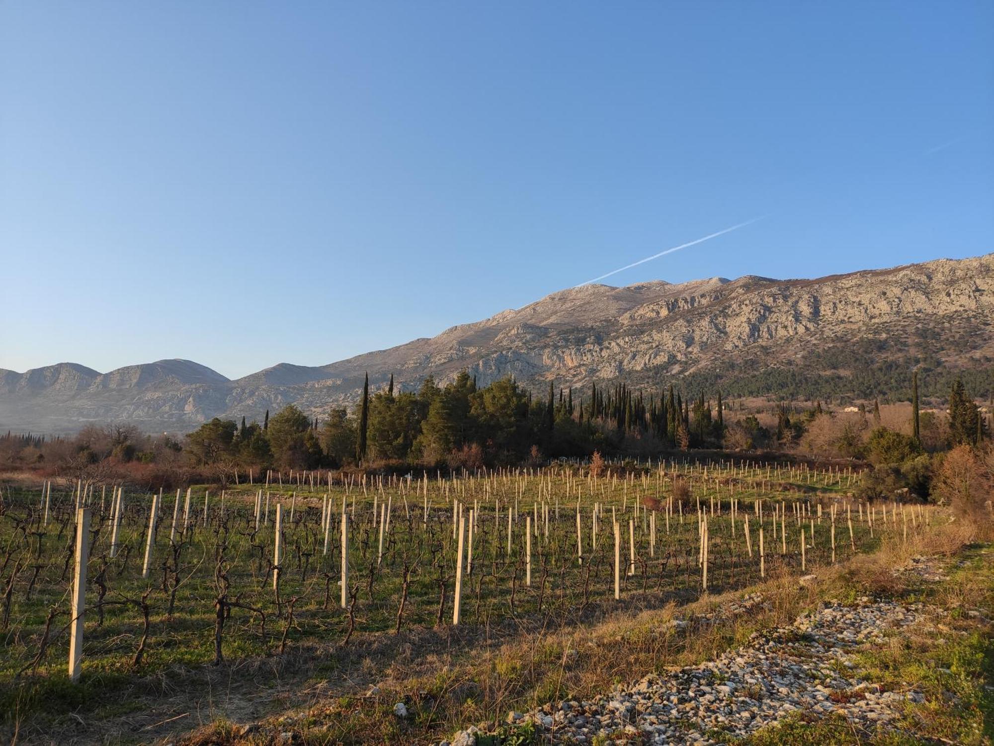 Country House Uros In Nature With Pool Lovorno Εξωτερικό φωτογραφία