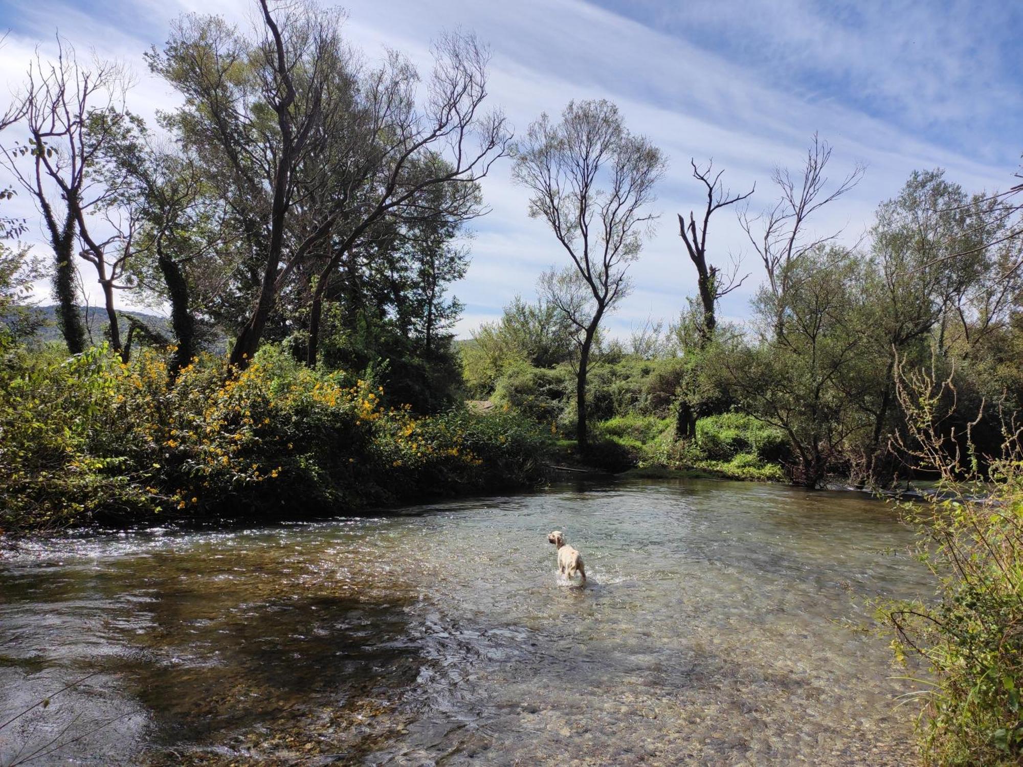 Country House Uros In Nature With Pool Lovorno Εξωτερικό φωτογραφία